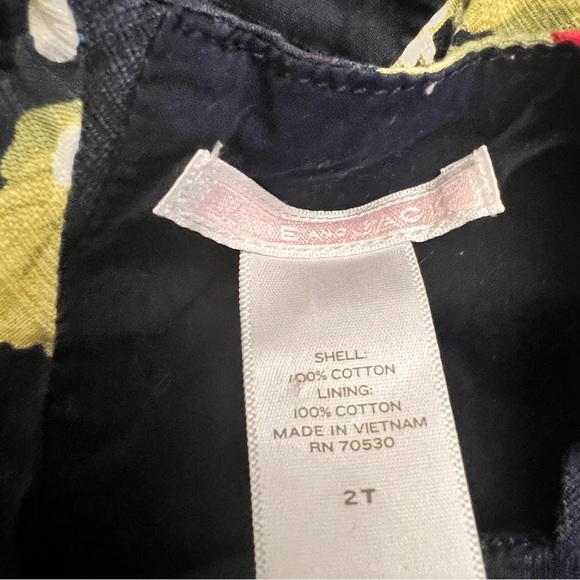 Janie and Jack blue sweet strawberry print dress sz 2T - Picture 3 of 3